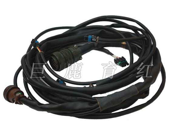 TR100 Extended wire harness 29537724