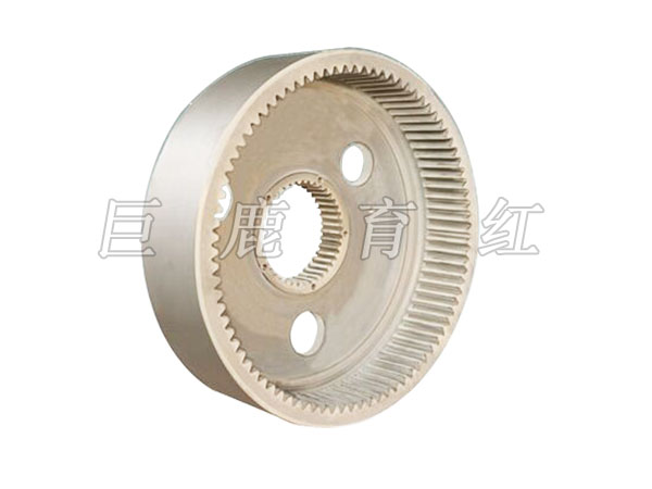 TR50 Internal gear   09004909